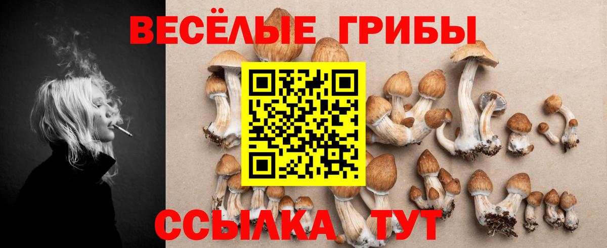 Пыть-Ях  Псилоцибиновые грибы Magic Shrooms  Вход с VPN 